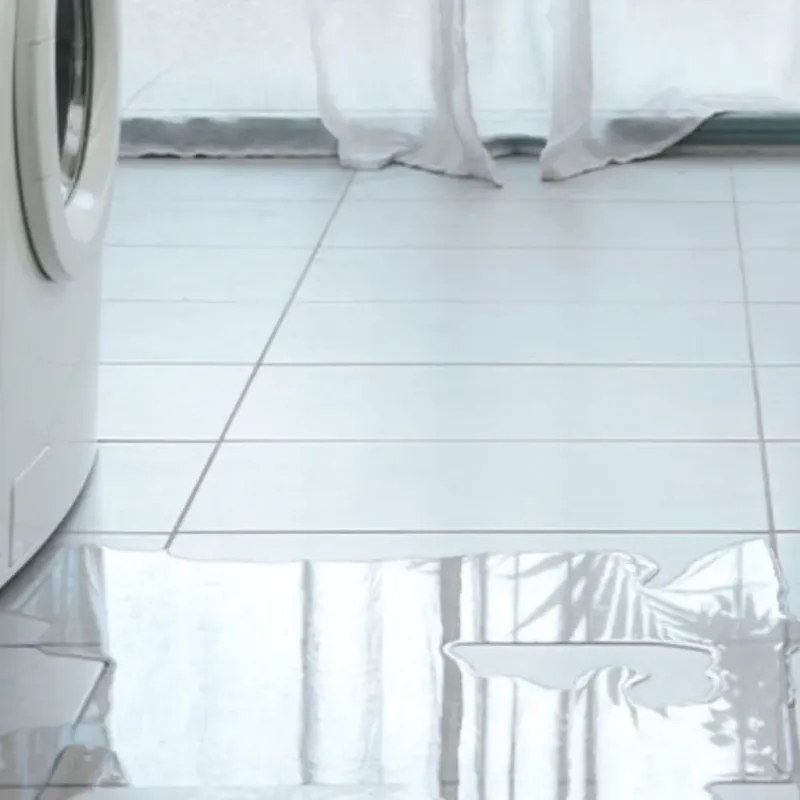 Appliance Leak Cleanup in Waukegan, IL