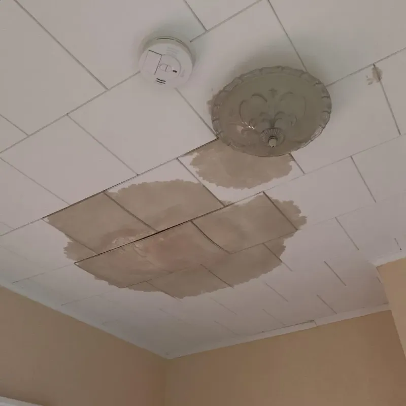 Ceiling Water Damage Repair in Waukegan, IL